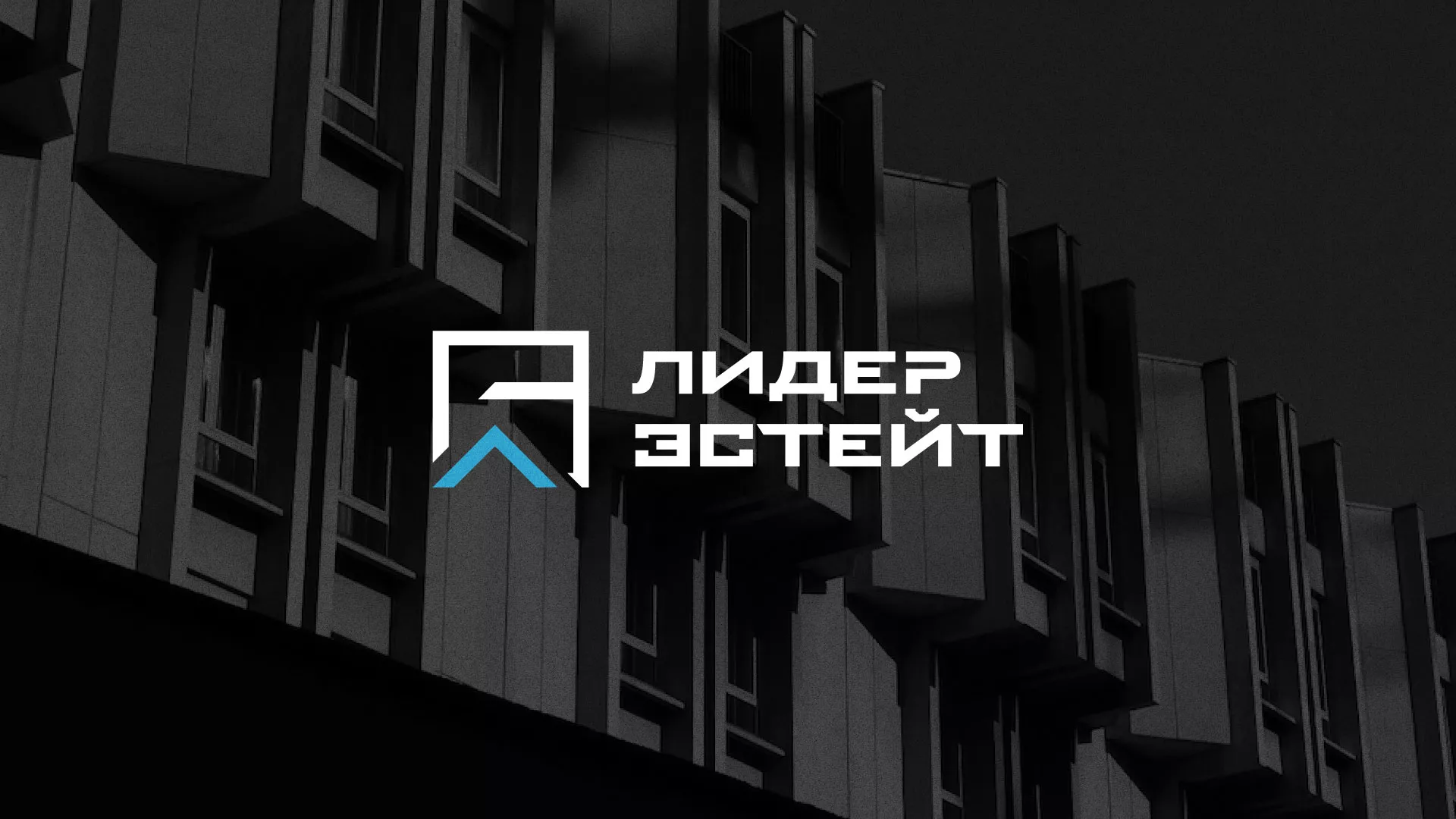 Разработка логотипа агентства недвижимости «Лидер Эстейт» в Тюмени