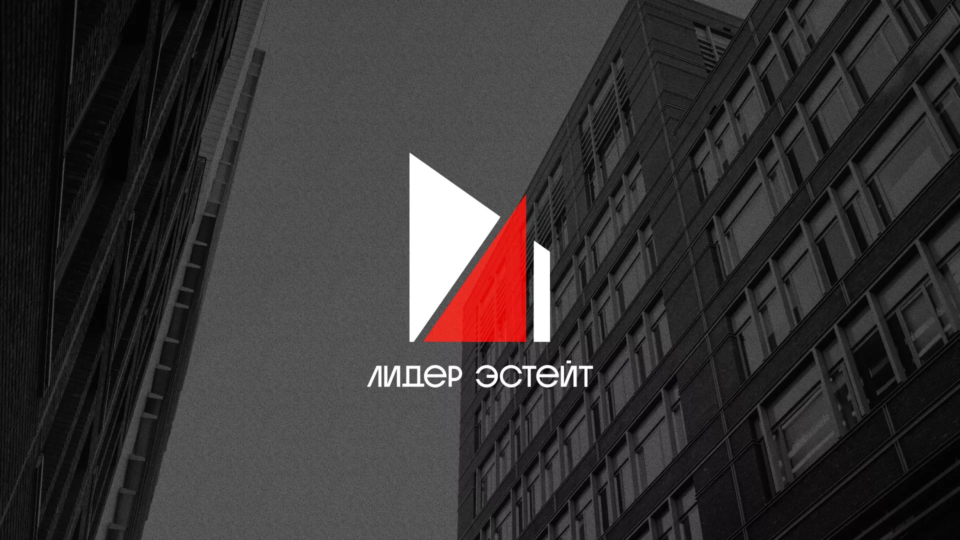 Сделали логотип для агентства недвижимости «Лидер Эстейт» в Тюмени